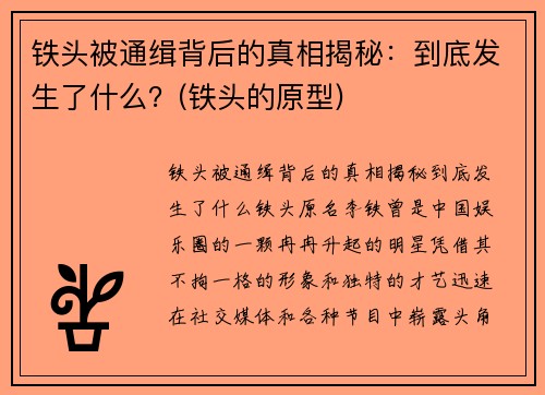 铁头被通缉背后的真相揭秘：到底发生了什么？(铁头的原型)